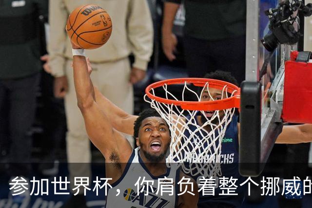 参加世界杯，你肩负着整个挪威的期望！哈兰德：我喜欢这样