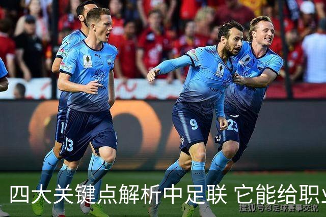四大关键点解析中足联 它能给职业联赛带来哪些改变?